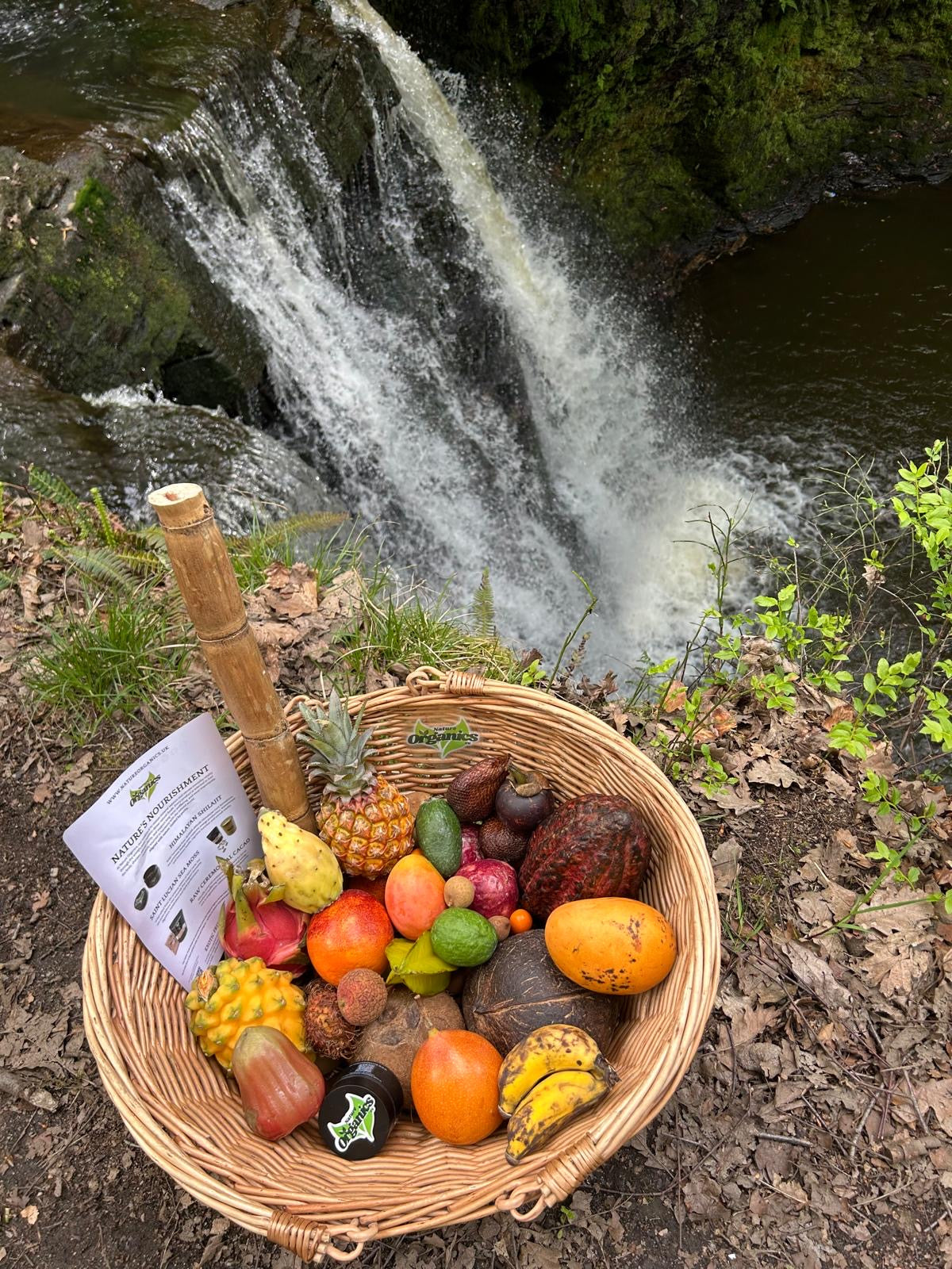 Nature's Nourishment Box