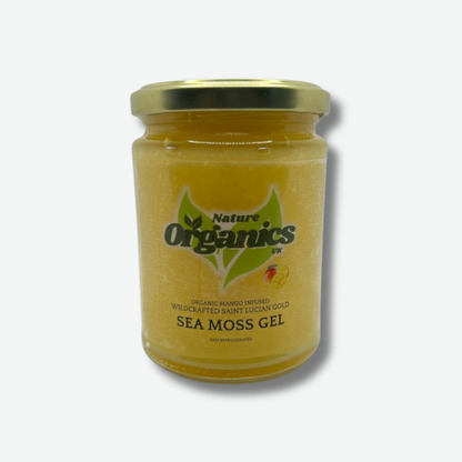 Wildcrafted Gold Sea Moss Gel Infused with Organic Mango